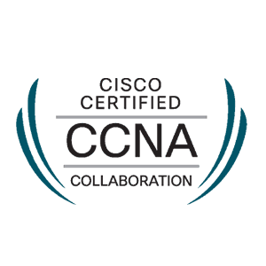 CCNA Collaboration